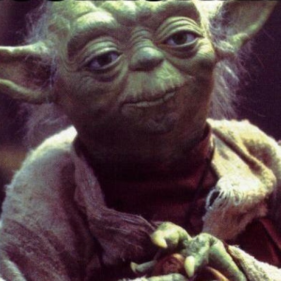 Meet your Posher, Shelby - Picture 1 of 1